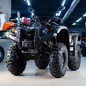 Квадрицикл BALTMOTORS BM400 EFI (черный)