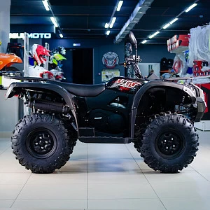 Квадрицикл BALTMOTORS BM400 EFI (черный)