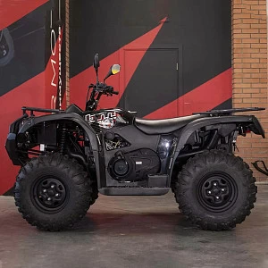 Квадрицикл BALTMOTORS BM400 EFI (черный) (ТЕСТ) Квадрицикл BALTMOTORS BM400 EFI (черный) (ТЕСТ)