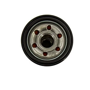Фильтр масляный BenelIi 502C, 752S, L500, L500T, L800, L800T, T502, T502X