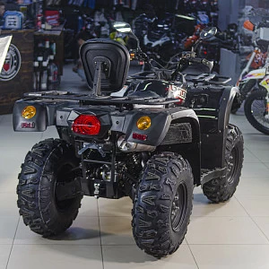 Квадрицикл BALTMOTORS BM500 EFI / EPS (черный)