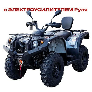 Квадрицикл BALTMOTORS BM500 EFI / EPS (серый)