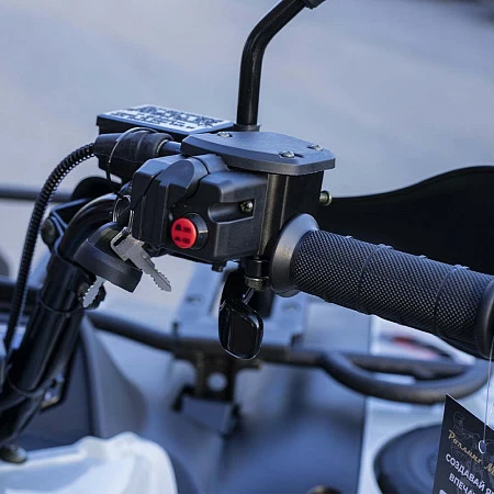Квадрицикл BALTMOTORS BM500 EFI / EPS (серый)